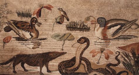 ancient rome  tumblr