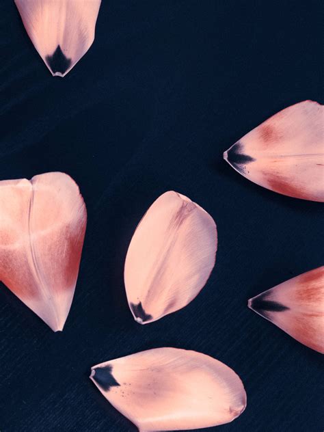 images of navy blue color 9