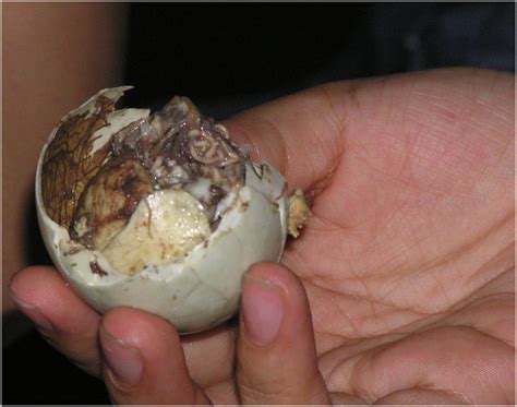 Balut - a filipino delicacy by nibor on DeviantArt