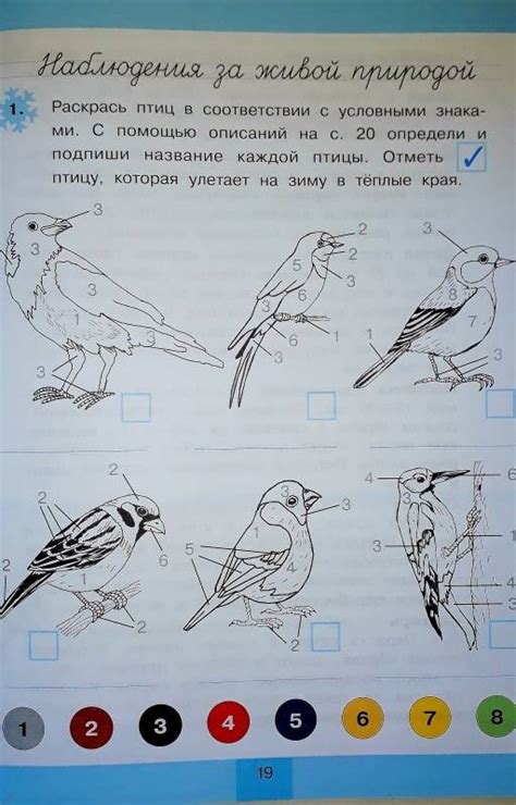 Книга: Окружающий мир. 2 класс. Дневник наблюдений. ФГОС - Светлана ...