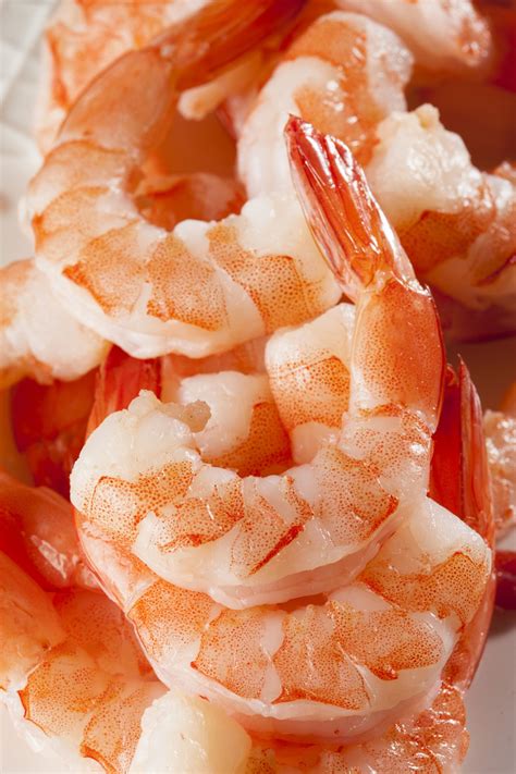 Is Shrimp Good for Weight Loss? - Daily Medicos