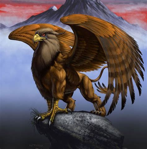 Grifo | Wiki Reino Animalia | FANDOM powered by Wikia