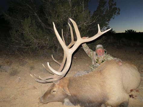 arizona elk hunt units 9