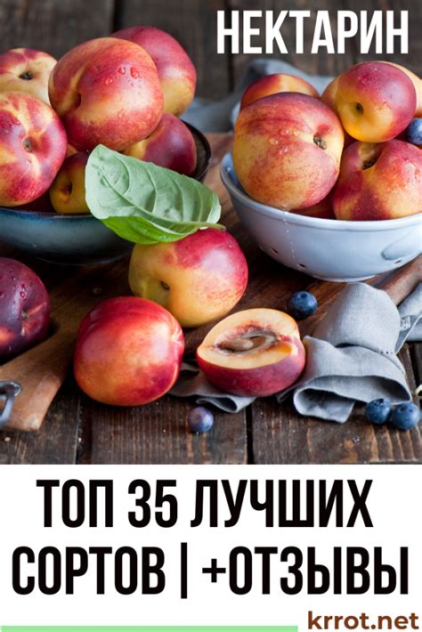 ТОП-35 Лучших Сортов Нектарина | Описание, Фото +Отзывы