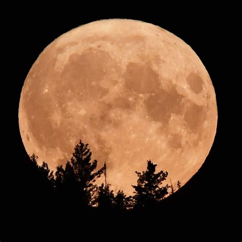 "Роскосмос" перенес миссию к Луне на 2023 год - РИА Новости, 07.09.2022