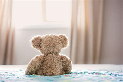 Cele mai bune 2.000+ fotografii cu tema Urs · Descărcare 100% gratuită ...