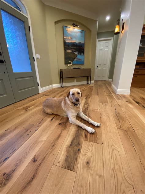 Pet-Proof Wood Flooring Guide: Dog-Friendly Hardwood Floors