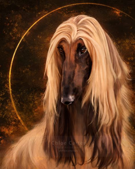 A Big Dog That Has A Long Nose