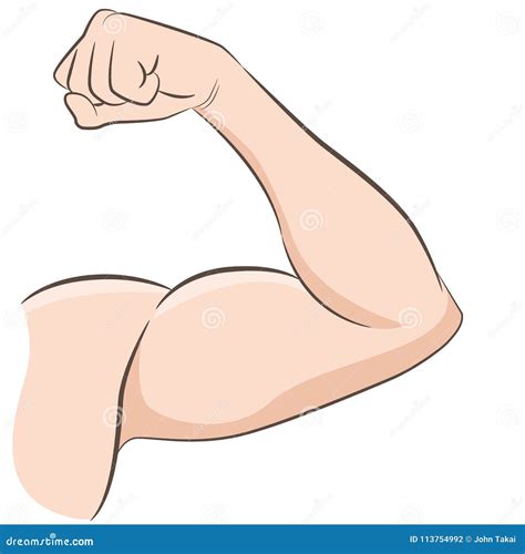 Strong Muscles Male Arm Flexing Bicep Stock Vector - Illustration of
