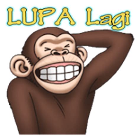 Monyet lucu