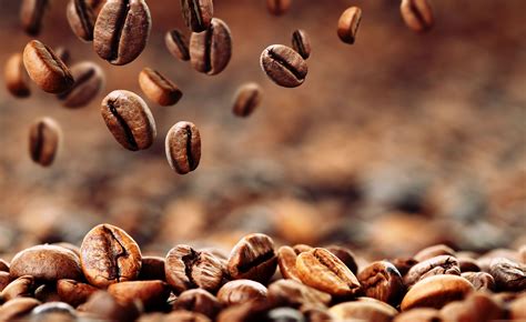 Coffee Beans Background Image