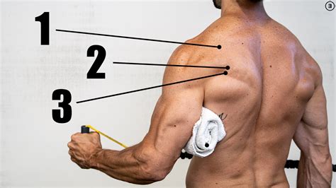Rotator Cuff Exercises - E3 Rehab