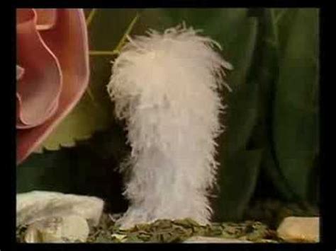 DVDFr - Ploom la chenille - DVD