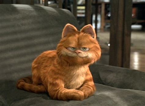 Kucing Agan Botak? Baca 7 Penyebab Bulu Kucing Botak !! | KASKUS