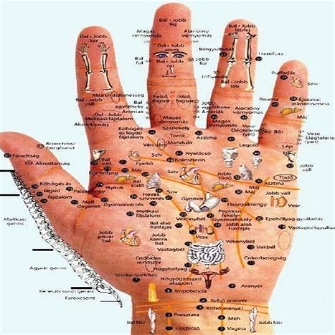 Acupressure Points For Headache 099 Acupressure Points For Headache ...