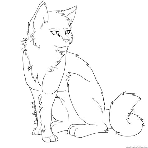 Коты Воители Раскраски