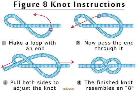 6 Essential Knots You Need To Know - The Prepper Journal
