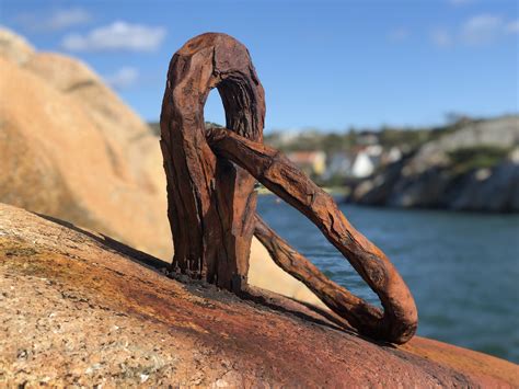 Decades of coastal weather : r/Norway