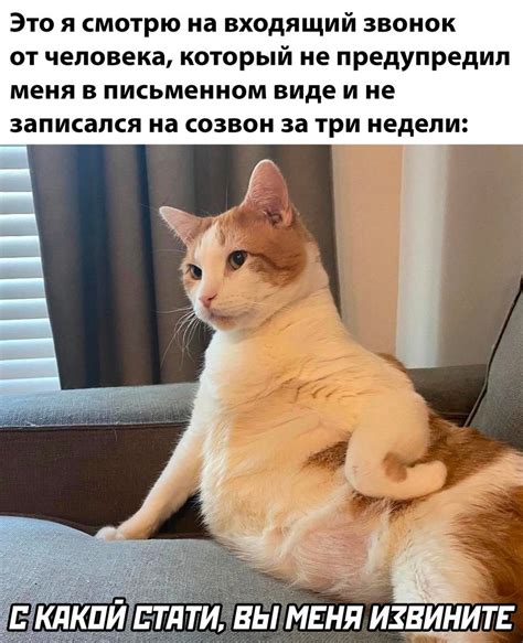 Звонок | Пикабу