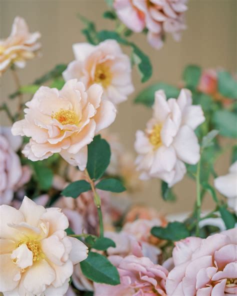 Bloom Babes - so wild to think we had this incredible view while