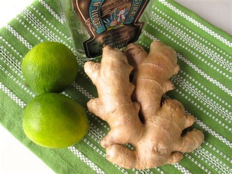 The Chinchilla (+ Homemade Ginger Ale) | spontaneous tomato
