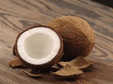 coco pictures   images  unsplash