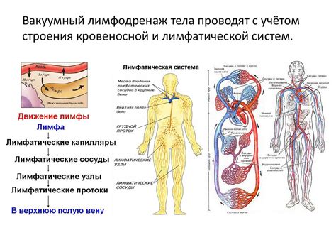 Вакуумная терапия - презентация онлайн