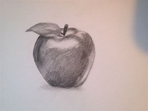 Apple Sketch at PaintingValley.com | Explore collection of Apple Sketch