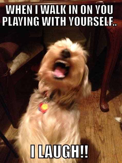 Dog Laugh Meme
