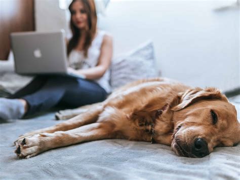 How to Keep Heating Costs Down During the Summer - Rio Heating