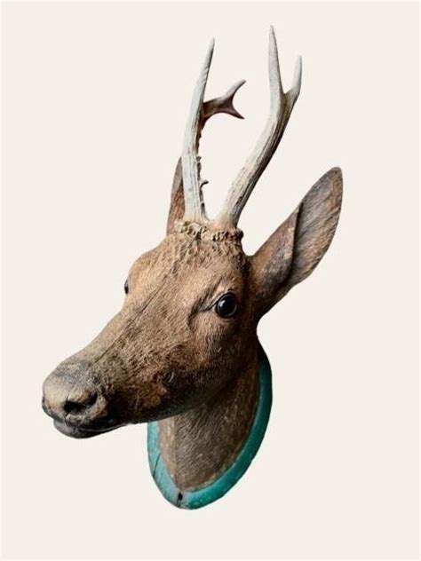 black forest wood carved deer head etsy