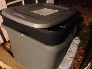 Adventures in Indoor Worm Composting
