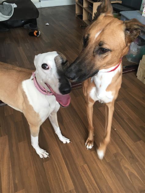 199 best Jessy images on Pholder | Duskwood, Hcfactions and Gentlemanboners