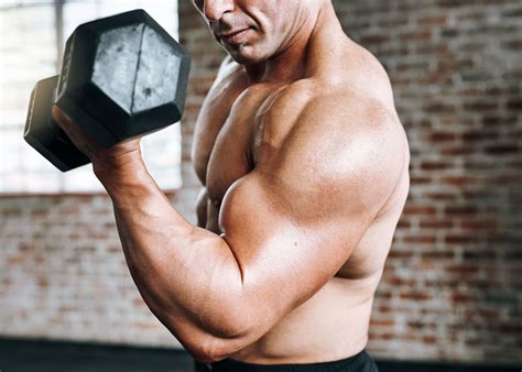 short bicep  long bicep pengertian perbedaan fungsi