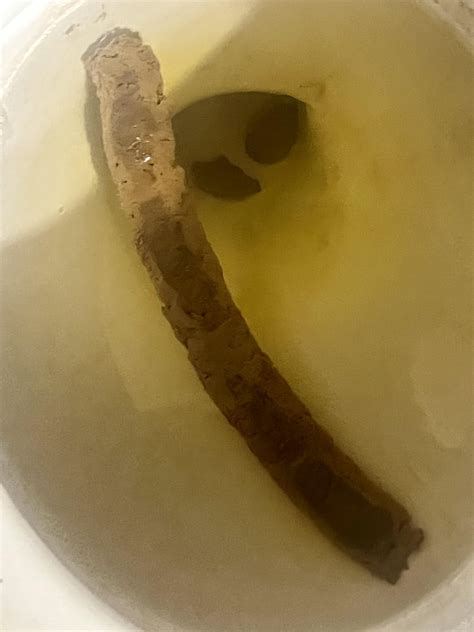 The biggest shit I have Ever shitted : r/poop