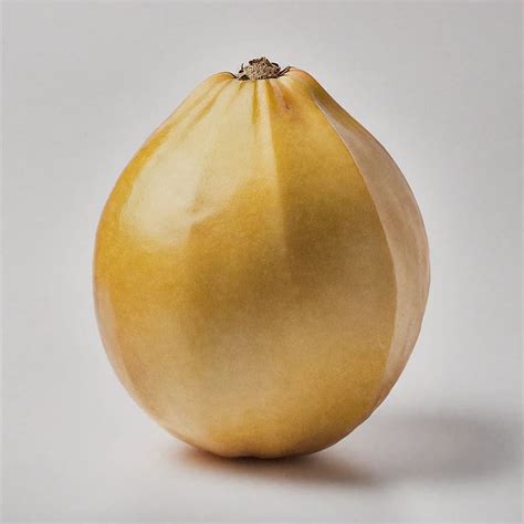 list  fruit names    pictures fruitspedia