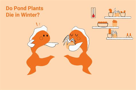 Do Pond Plants Die in Winter? | The Goldfish Tank