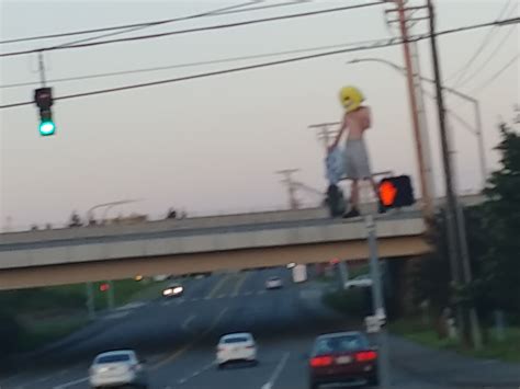 Washington Tacoma news alerts keep residents informed of local shifts 32