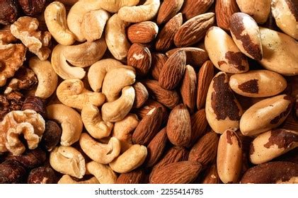 nut close  images stock  vectors shutterstock