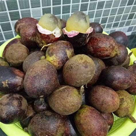 mengenal matoa buah langka asal papua  unik okezone lifestyle