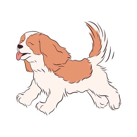 The Beautiful Tri Color Cavalier King Charles Spaniel