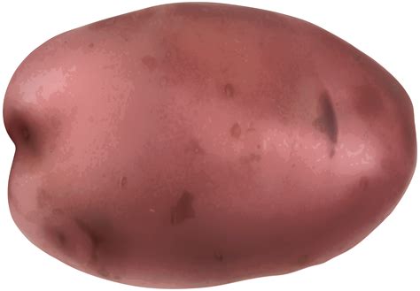 Clipart vegetables potato, Picture #713076 clipart vegetables potato