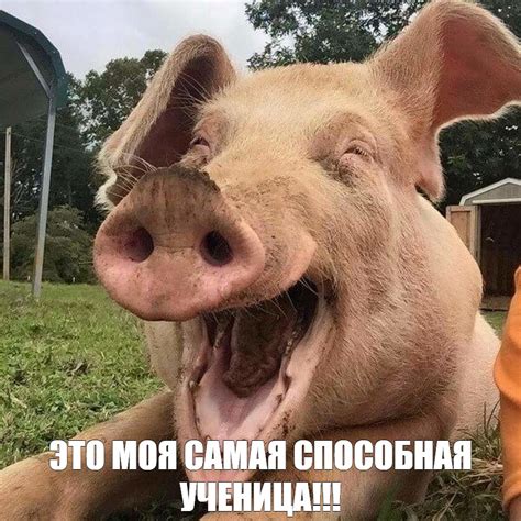 Meme: "ЭТО МОЯ САМАЯ СПОСОБНАЯ УЧЕНИЦА!!!" - All Templates - Meme ...