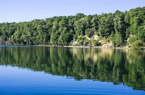 Hiking the Circle Track, Manapouri - See the South Island NZ Travel Blog