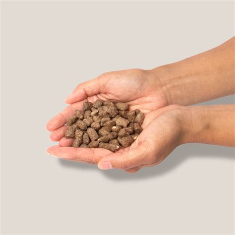 ready  eat raw rabbit recipe  hunter