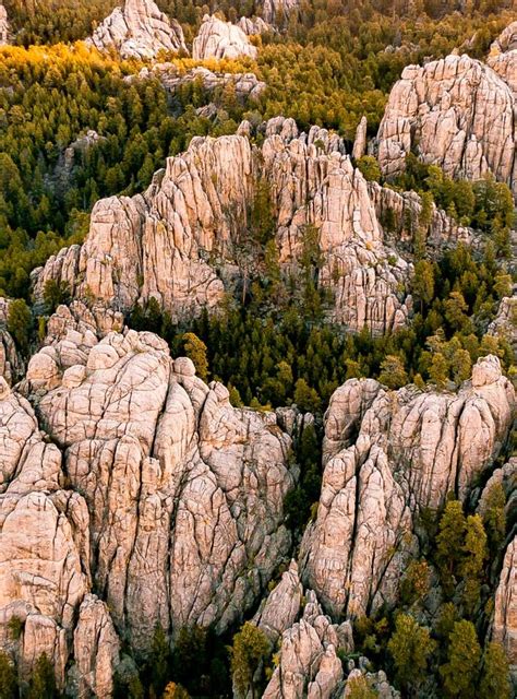 Black Hills National Forest Archives - More Than Just Parks | The ...