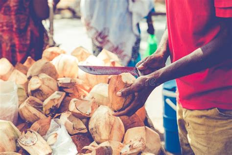 Native Opening Fresh Coconut with Knife Stock Photo - Image of forest ...