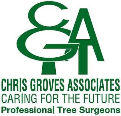 tree surgeons taunton fully qualified chris groves associates