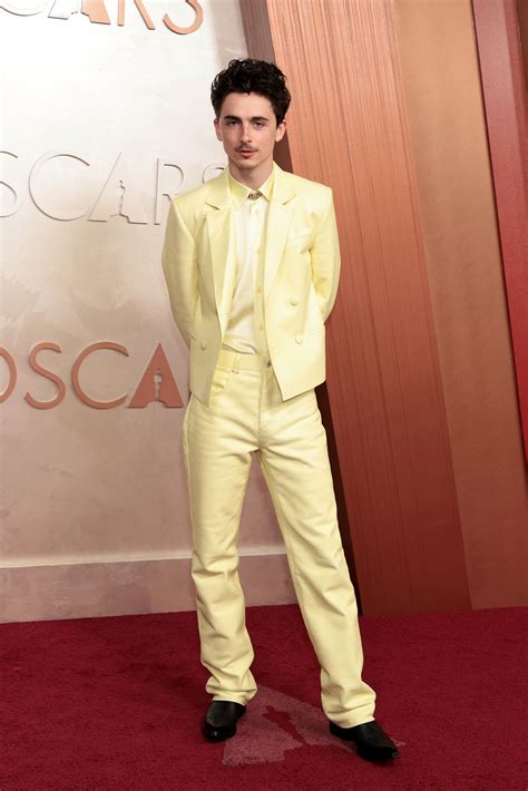 timothee chalamet brought  nights  eccentric suit