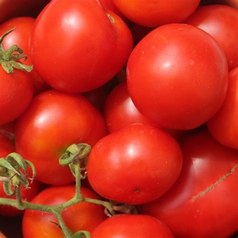 Deaflora - Tomate Rotkäppchen